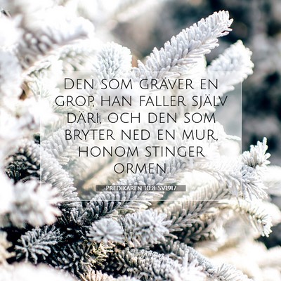 Picture 07 - Predikaren 10:8 SV1917 - Den som gräver en grop, han faller själv däri, - Bible Verse Picture