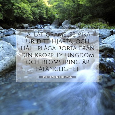 Picture 07 - Predikaren 11:10 SV1917 - Ja, låt grämelse vika ur ditt hjärta, och - Bible Verse Picture