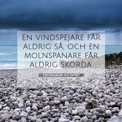Picture 07 - Predikaren 11:4 SV1917 - En vindspejare får aldrig så, och en - Bible Verse Picture
