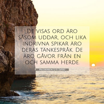 Picture 07 - Predikaren 12:11 SV1917 - De visas ord äro såsom uddar, och lika indrivna - Bible Verse Picture