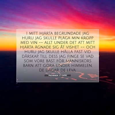 Picture 07 - Predikaren 2:3 SV1917 - I mitt hjärta begrundade jag huru jag skulle - Bible Verse Picture