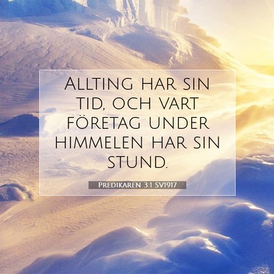 Picture 07 - Predikaren 3:1 SV1917 - Allting har sin tid, och vart företag under - Bible Verse Picture