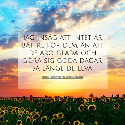 Picture 07 - Predikaren 3:12 SV1917 - Jag insåg att intet är bättre för dem, än - Bible Verse Picture