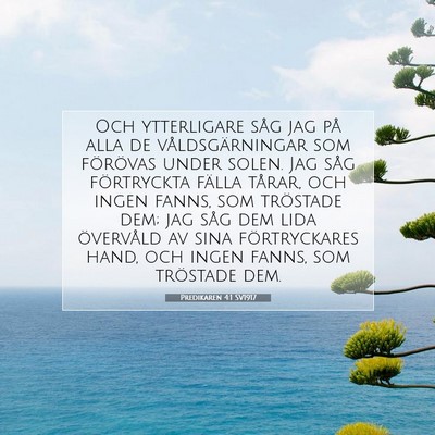 Picture 07 - Predikaren 4:1 SV1917 - Och ytterligare såg jag på alla de - Bible Verse Picture
