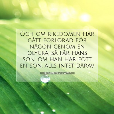 Picture 07 - Predikaren 5:13 SV1917 - Och om rikedomen har gått förlorad för någon - Bible Verse Picture