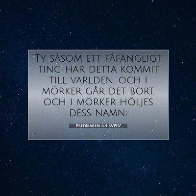Picture 07 - Predikaren 6:4 SV1917 - Ty såsom ett fåfängligt ting har detta kommit - Bible Verse Picture