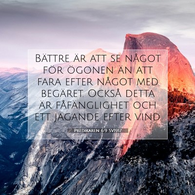 Picture 07 - Predikaren 6:9 SV1917 - Bättre är att se något för ögonen än att - Bible Verse Picture