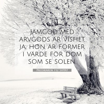 Picture 07 - Predikaren 7:12 SV1917 - Jämgod med arvgods är vishet, ja, hon är - Bible Verse Picture