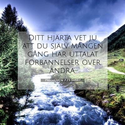 Picture 07 - Predikaren 7:23 SV1917 - Ditt hjärta vet ju att du själv mången gång - Bible Verse Picture