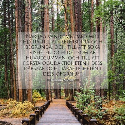 Picture 07 - Predikaren 7:26 SV1917 - När jag vände mig med mitt hjärta till att - Bible Verse Picture