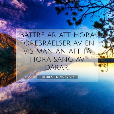 Picture 07 - Predikaren 7:6 SV1917 - Bättre är att höra förebråelser av en vis - Bible Verse Picture