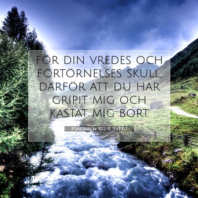 Picture 07 - Psaltaren 102:11 SV1917 - för din vredes och förtörnelses skull, - Bible Verse Picture