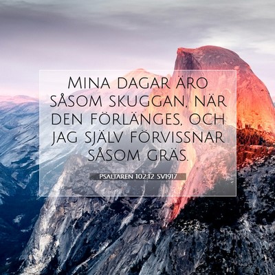 Picture 07 - Psaltaren 102:12 SV1917 - Mina dagar äro såsom skuggan, när den - Bible Verse Picture