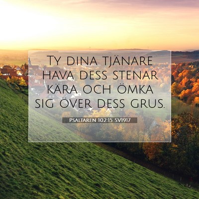 Picture 07 - Psaltaren 102:15 SV1917 - Ty dina tjänare hava dess stenar kära och ömka - Bible Verse Picture