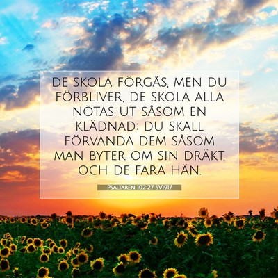 Picture 07 - Psaltaren 102:27 SV1917 - de skola förgås, men du förbliver, de skola - Bible Verse Picture