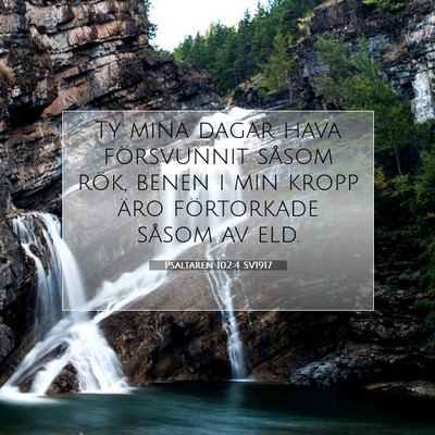 Picture 07 - Psaltaren 102:4 SV1917 - Ty mina dagar hava försvunnit såsom rök, benen - Bible Verse Picture