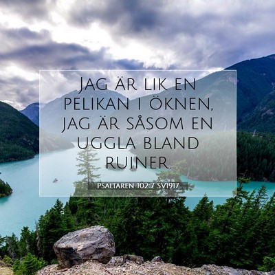 Picture 07 - Psaltaren 102:7 SV1917 - Jag är lik en pelikan i öknen, jag är såsom - Bible Verse Picture