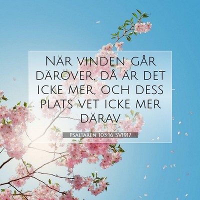Picture 07 - Psaltaren 103:16 SV1917 - När vinden går däröver, då är det icke mer, - Bible Verse Picture