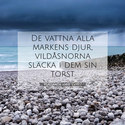 Picture 07 - Psaltaren 104:11 SV1917 - De vattna alla markens djur, vildåsnorna släcka - Bible Verse Picture