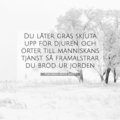 Picture 07 - Psaltaren 104:14 SV1917 - Du låter gräs skjuta upp för djuren och örter - Bible Verse Picture