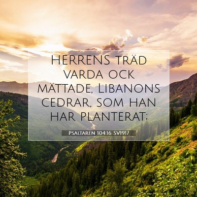 Picture 07 - Psaltaren 104:16 SV1917 - HERRENS träd varda ock mättade, Libanons - Bible Verse Picture