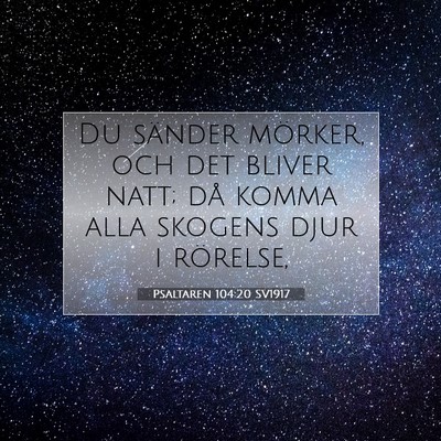 Picture 07 - Psaltaren 104:20 SV1917 - Du sänder mörker, och det bliver natt; då - Bible Verse Picture