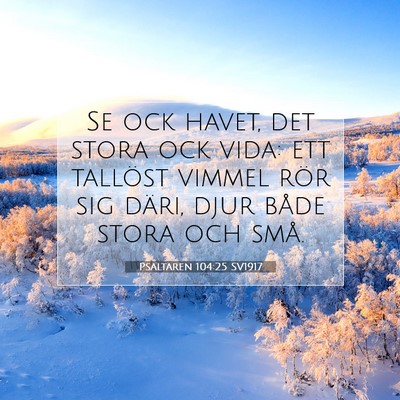 Picture 07 - Psaltaren 104:25 SV1917 - Se ock havet, det stora ock vida: ett tallöst - Bible Verse Picture