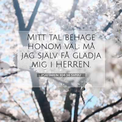 Picture 07 - Psaltaren 104:34 SV1917 - Mitt tal behage honom väl; må jag själv få - Bible Verse Picture