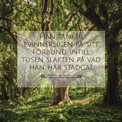 Picture 07 - Psaltaren 105:8 SV1917 - Han tänker evinnerligen på sitt förbund, - Bible Verse Picture
