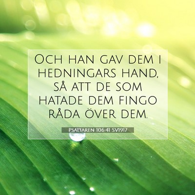 Picture 07 - Psaltaren 106:41 SV1917 - Och han gav dem i hedningars hand, så att de som - Bible Verse Picture