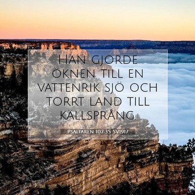 Picture 07 - Psaltaren 107:35 SV1917 - Han gjorde öknen till en vattenrik sjö och - Bible Verse Picture