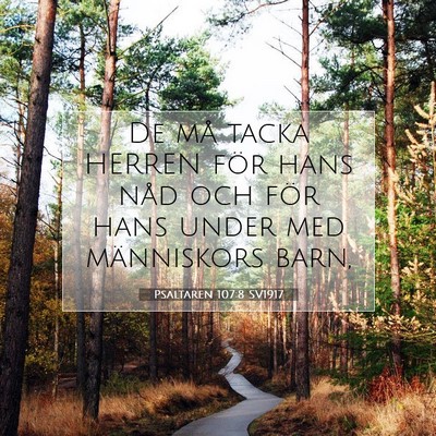 Picture 07 - Psaltaren 107:8 SV1917 - De må tacka HERREN för hans nåd och för hans - Bible Verse Picture