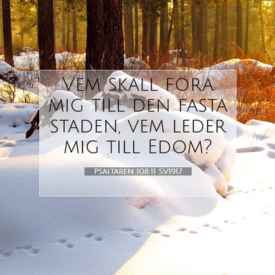 Picture 07 - Psaltaren 108:11 SV1917 - Vem skall föra mig till den fasta staden, vem - Bible Verse Picture