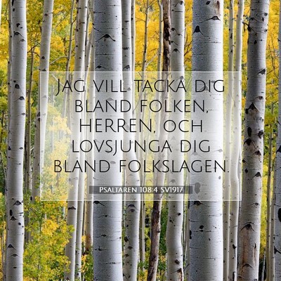 Picture 07 - Psaltaren 108:4 SV1917 - Jag vill tacka dig bland folken, HERREN, och - Bible Verse Picture
