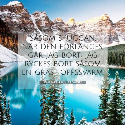 Picture 07 - Psaltaren 109:23 SV1917 - Såsom skuggan, när den förlänges, går jag - Bible Verse Picture