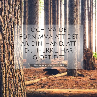 Picture 07 - Psaltaren 109:27 SV1917 - och må de förnimma att det är din hand, att - Bible Verse Picture