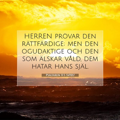 Picture 07 - Psaltaren 11:5 SV1917 - HERREN prövar den rättfärdige; men den - Bible Verse Picture