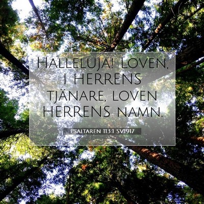 Picture 07 - Psaltaren 113:1 SV1917 - Halleluja! Loven, I HERRENS tjänare, loven - Bible Verse Picture