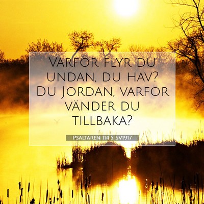 Picture 07 - Psaltaren 114:5 SV1917 - Varför flyr du undan, du hav? Du Jordan, varför - Bible Verse Picture
