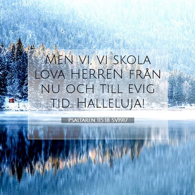 Picture 07 - Psaltaren 115:18 SV1917 - Men vi, vi skola lova HERREN från nu och till - Bible Verse Picture