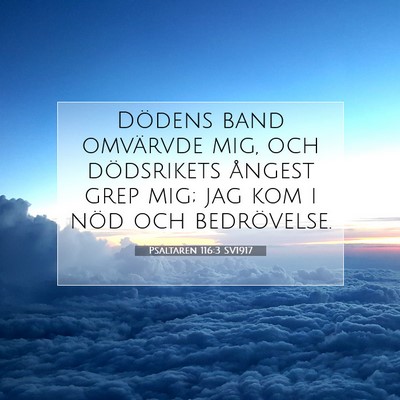 Picture 07 - Psaltaren 116:3 SV1917 - Dödens band omvärvde mig, och dödsrikets - Bible Verse Picture