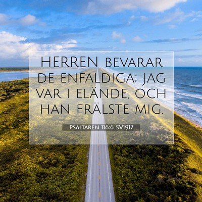 Picture 07 - Psaltaren 116:6 SV1917 - HERREN bevarar de enfaldiga; jag var i elände, - Bible Verse Picture