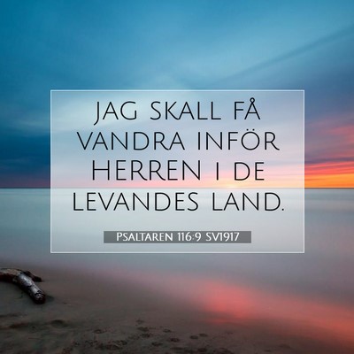Picture 07 - Psaltaren 116:9 SV1917 - jag skall få vandra inför HERREN i de levandes - Bible Verse Picture