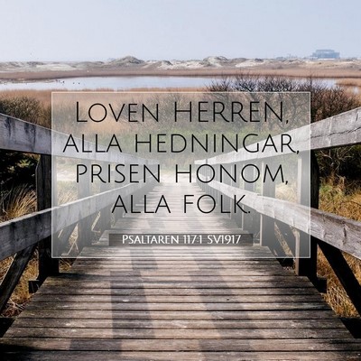 Picture 07 - Psaltaren 117:1 SV1917 - Loven HERREN, alla hedningar, prisen honom, alla - Bible Verse Picture