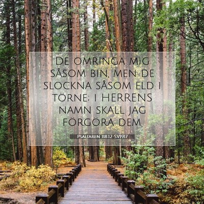 Picture 07 - Psaltaren 118:12 SV1917 - De omringa mig såsom bin, men de slockna såsom - Bible Verse Picture