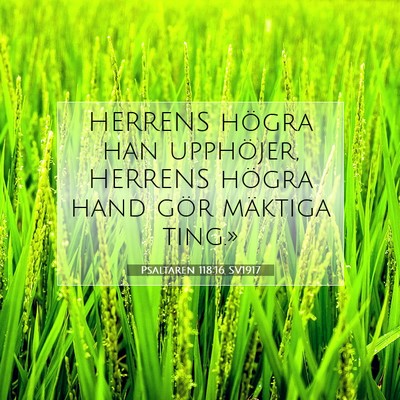 Picture 07 - Psaltaren 118:16 SV1917 - HERRENS högra han upphöjer, HERRENS högra hand - Bible Verse Picture