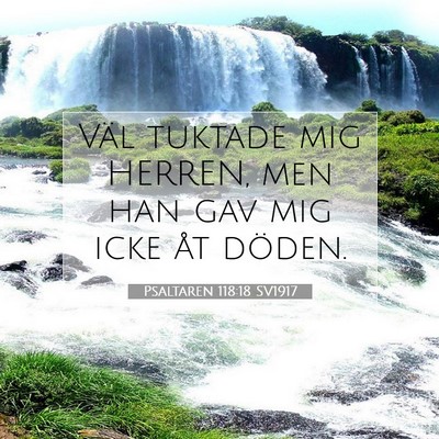 Picture 07 - Psaltaren 118:18 SV1917 - Väl tuktade mig HERREN, men han gav mig icke åt - Bible Verse Picture