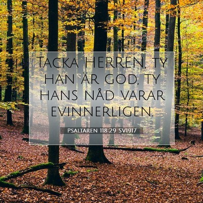 Picture 07 - Psaltaren 118:29 SV1917 - Tacka HERREN, ty han är god, ty hans nåd varar - Bible Verse Picture