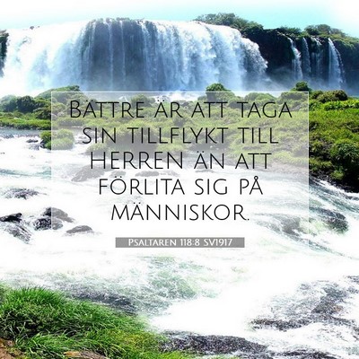 Picture 07 - Psaltaren 118:8 SV1917 - Bättre är att taga sin tillflykt till HERREN - Bible Verse Picture