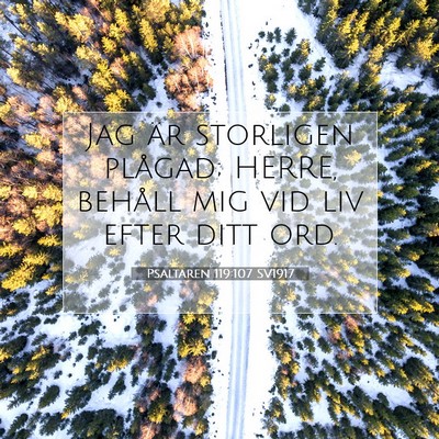 Picture 07 - Psaltaren 119:107 SV1917 - Jag är storligen plågad; HERRE, behåll mig vid - Bible Verse Picture